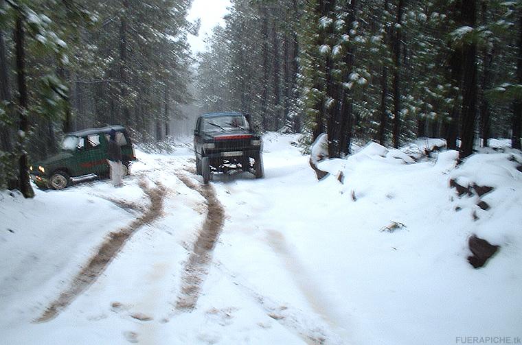 Cortafuegos nevado 4x4